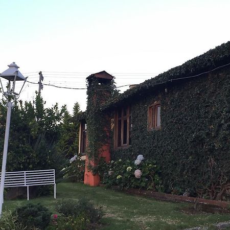 Vila Cabanas En Mazamitla Betito Exteriér fotografie