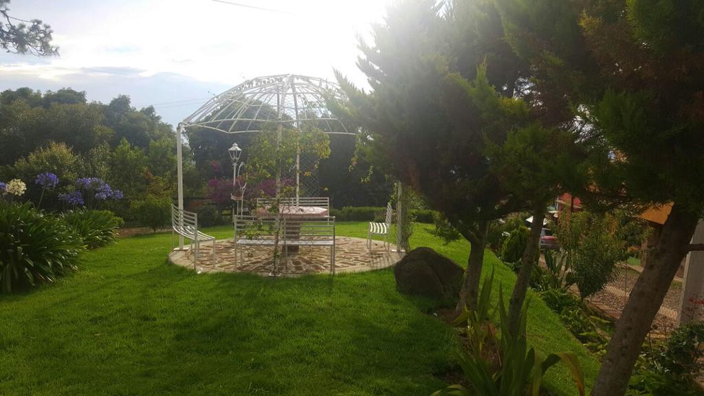 Vila Cabanas En Mazamitla Betito Exteriér fotografie